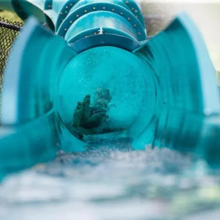 Konstantin In Trakia Plaza * Sunny Beach